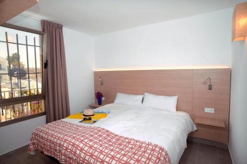 Foto general de Apartamentos Eden