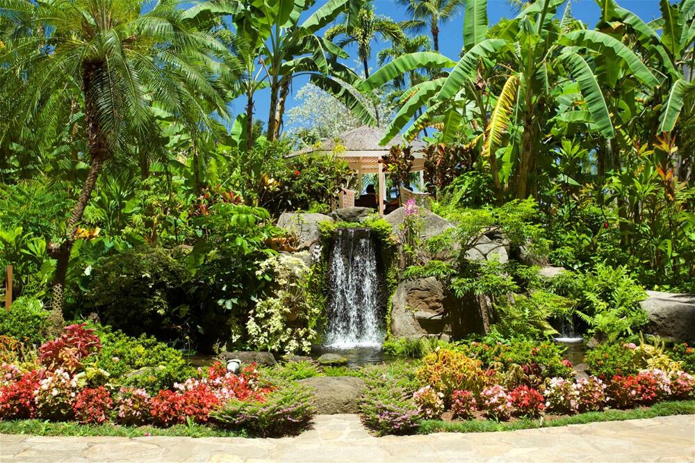Foto del entorno de Complejo Aston Kaanapali Shores