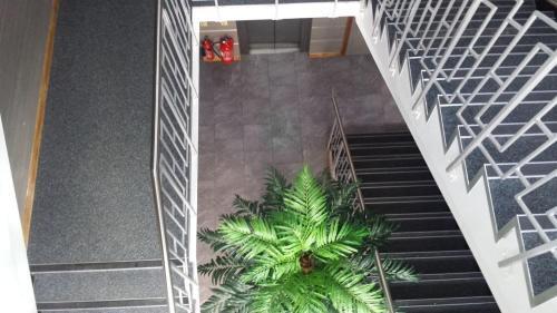 Foto general de OYO Epsilon Hotel
