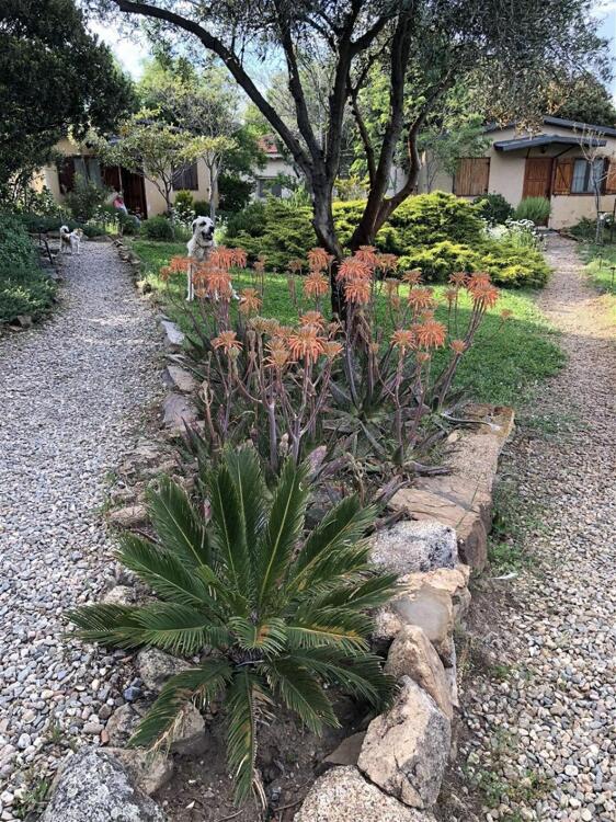 Foto del exterior de Casa Rural La Cerca Del Alcornoque