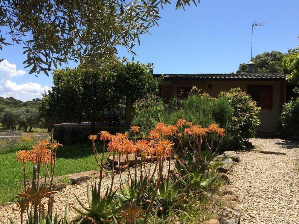 Foto del entorno de Casa Rural La Cerca Del Alcornoque