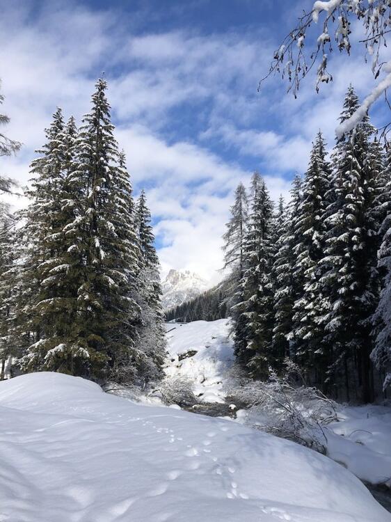 Foto de los servicios de Alpine Touring Hotel