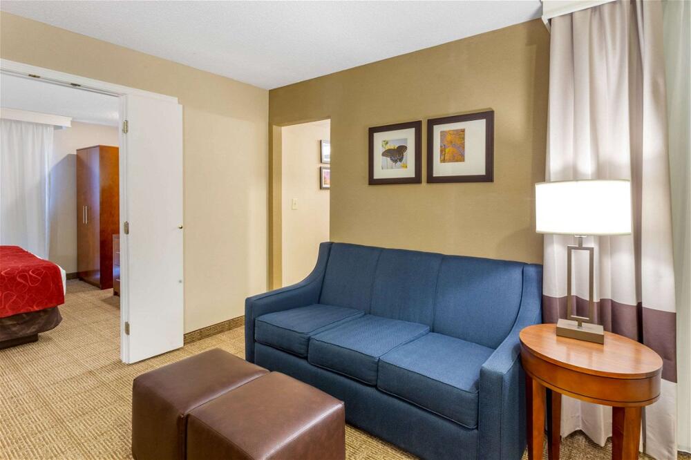 Foto de las zonas nobles de Hotel Comfort Suites Oakbrook Terrace near Oakbrook Center