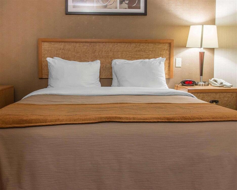 Foto general de Hotel Comfort Inn Brandon