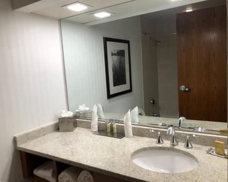 Foto del baño de Hotel Wyndham Garden Buffalo Downtown