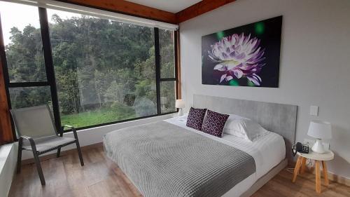 Room – Hotel Termales Tierra Viva