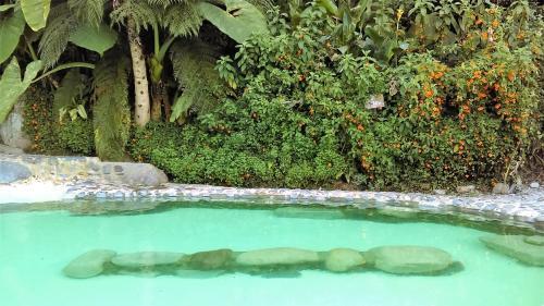 Facilities – Hotel Termales Tierra Viva