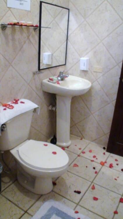 Foto del baño de Blue Palm Hotel