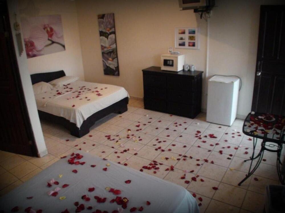 Foto de una habitación de Blue Palm Hotel