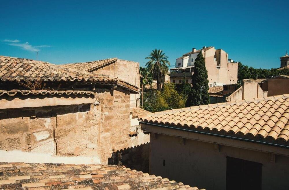 Foto del entorno de Hotel Canavall