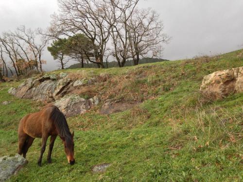 Foto de los servicios de Hotel La Canela
