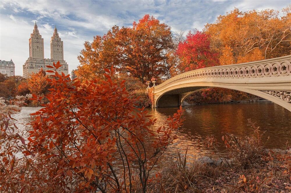 Foto general de Hotel The Ritz-Carlton New York, Central Park