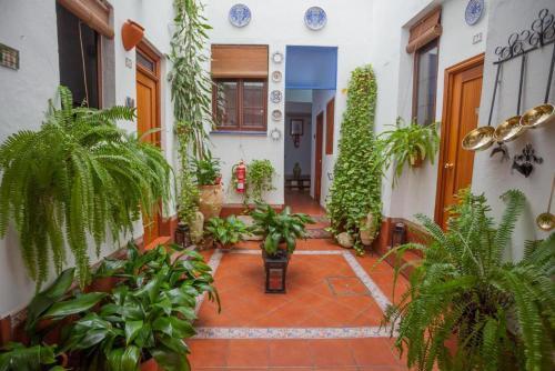 Foto del exterior de Pension San Pancracio