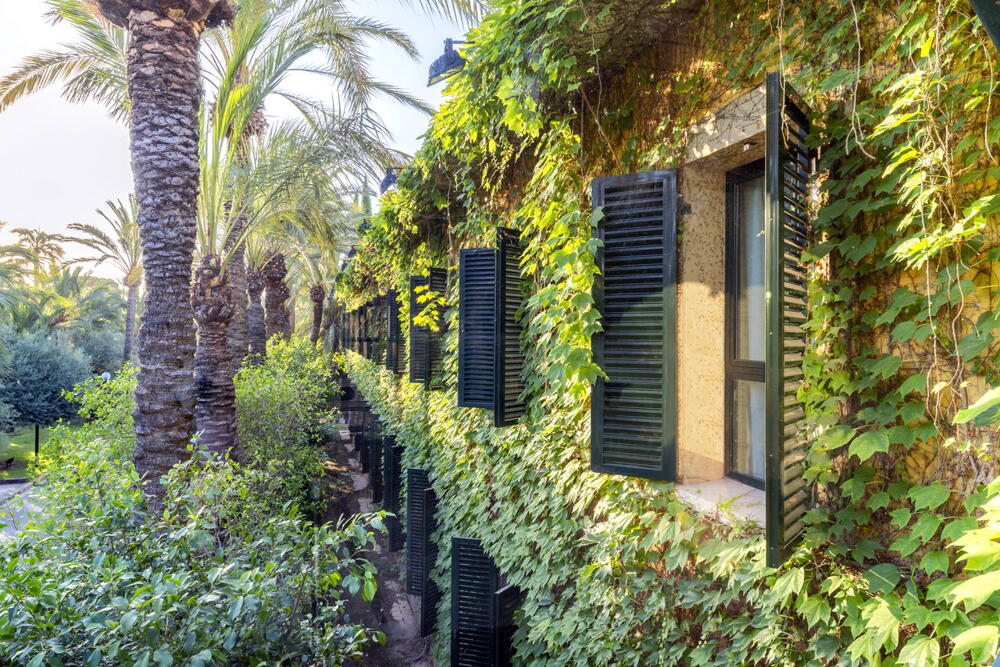 Exterior – Hotel Port Jardín Milenio
