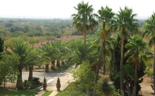 Foto del entorno de Sa Cabana Hotel &amp;amp; Spa - Adults Only