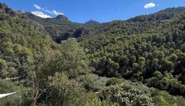 Foto de Villa Río Béjar