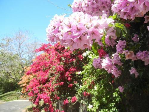 Photo – Bed-and-Breakfast Finca Vibran B &amp;amp; B
