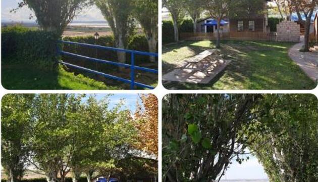 Foto de Camping Fuente de Piedra