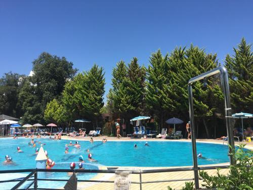 Camping Paradiso, Viareggio - Reserving