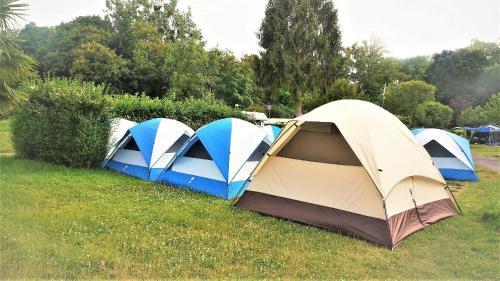 camping tpfe fr gaskocher BOXIO COOK PLUS I Mobiler Gaskocher in Euroboxformat mit Camping Topfset