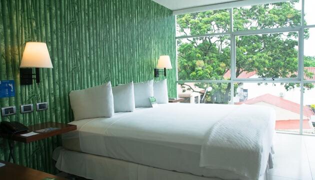 Foto de Hotel LP Santa Cruz Centro