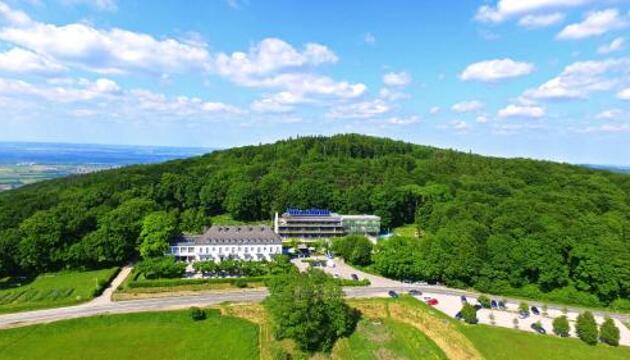 Foto de Berghotel Tulbingerkogel, The Originals Relais (Relais du Silence)