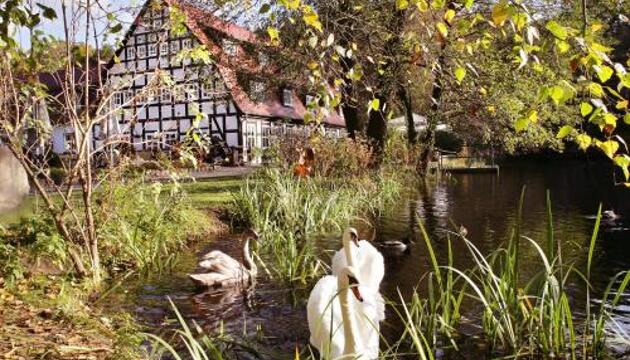 Foto de Hotel Springbach-Mühle Belzig