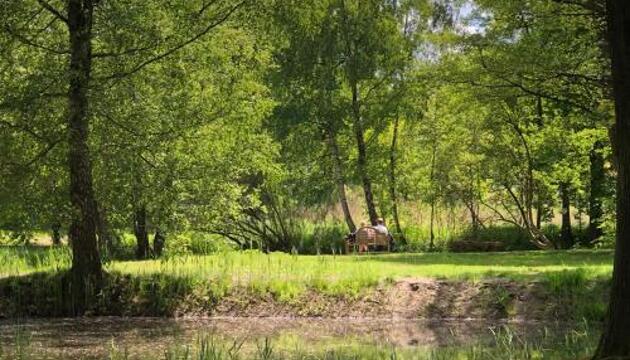 Foto de Gutshof im Oertzetal Hotel und Restaurant