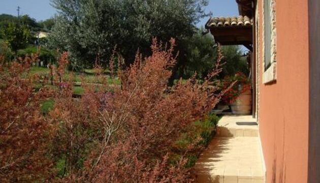 Photo – Agriturismo Il Borgo Degli Ulivi