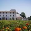 Foto de Hotel La Mozaira