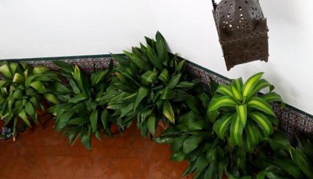 Foto de La Posada de Manolo