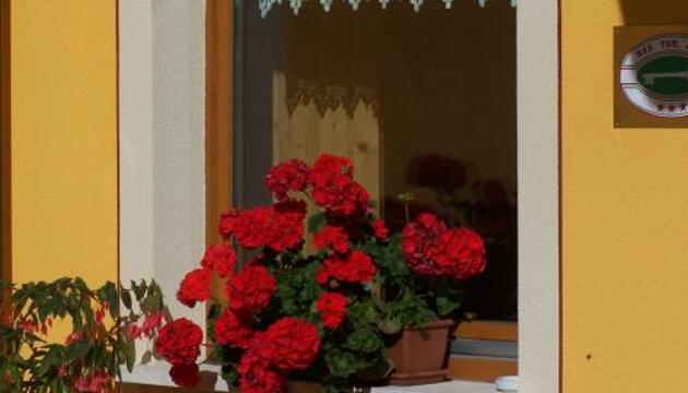 Foto de Aparthotel Tana Della Volpe