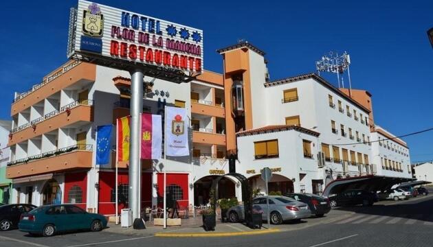 Foto de Hotel Flor de la Mancha