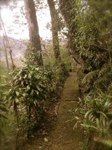 Photo – Hotel Ranchitos Del Quetzal