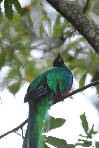 Photo – Hotel Ranchitos Del Quetzal