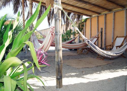 Foto general de Bed-and-Breakfast AquamarInn