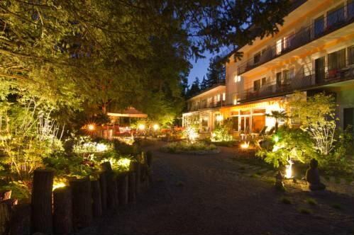 Foto general de Balance Hotel am Blauenwald