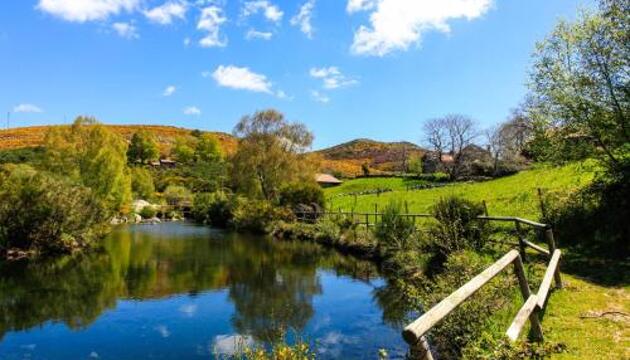 Foto de Casa Rural Branda da Aveleira