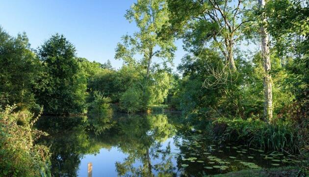 Foto de Camping Rives Nature