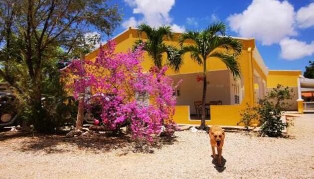 Photo – Houses and Chalets Roadrunner-Bonaire