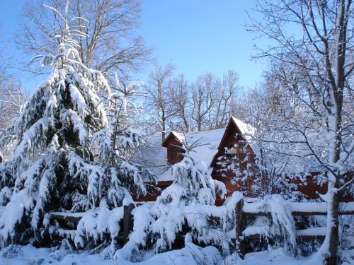 Foto de una habitación de Cabañas Bordenieve