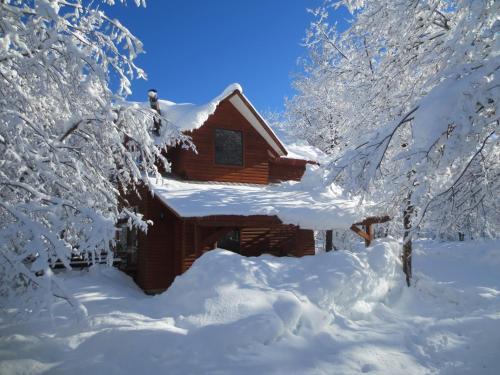 Foto de una habitación de Cabañas Bordenieve