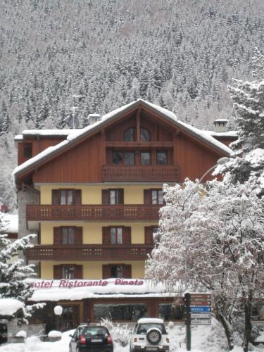 Foto general de Hotel Pineta