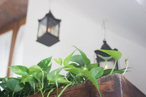 Foto general de Bed-and-Breakfast Abbaino