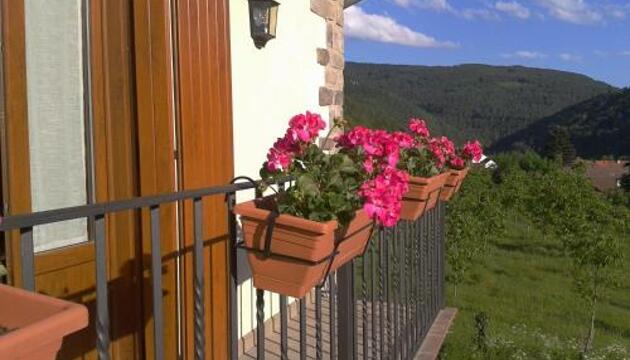 Foto de Apartamentos Amalur Etxea - Irati