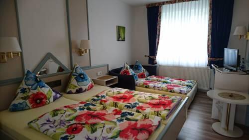 Foto general de Hotel Steiner
