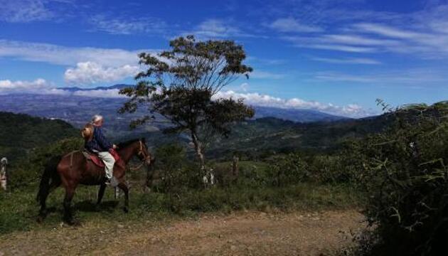 Foto de Bed-and-Breakfast Finca Queveri