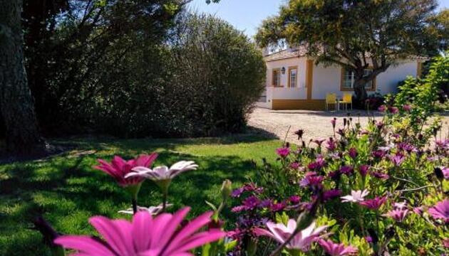 Foto de Casas y chalets Casas das Amoreiras