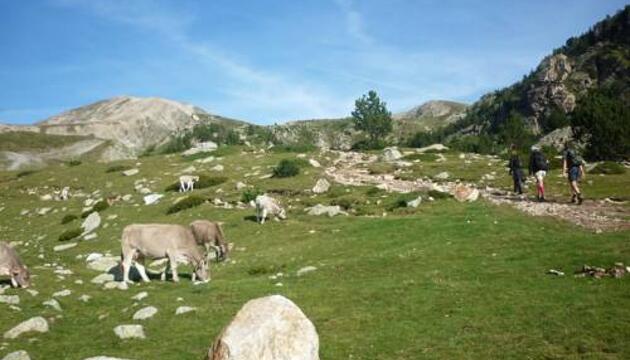 Foto de Apartaments els Roures