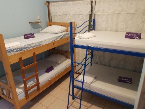 Foto de una habitación de Slow Monkey Hostel
